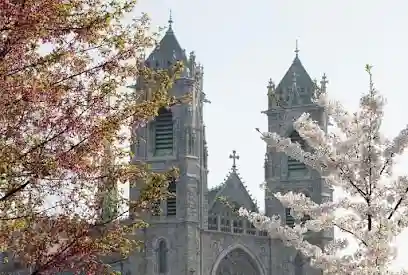 The Cathedral Basilica of the Sacred Heart in Newark