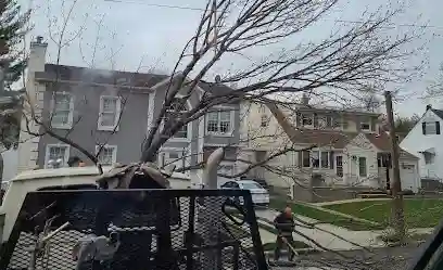 A fallen tree leaning across a residential street toward houses after a storm, with a utility truck and cleanup crew in the foreground.